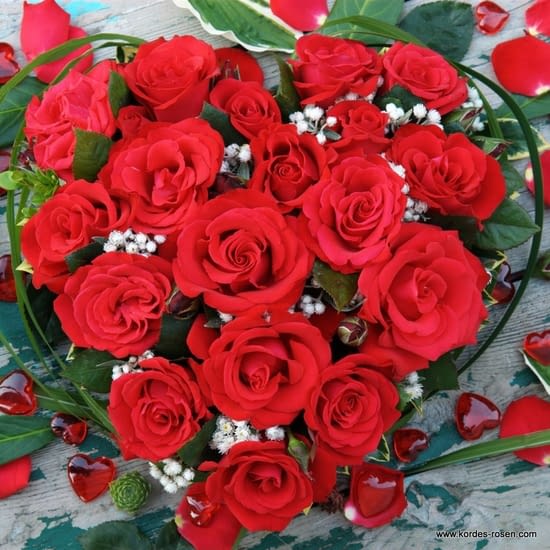 Grande Amore