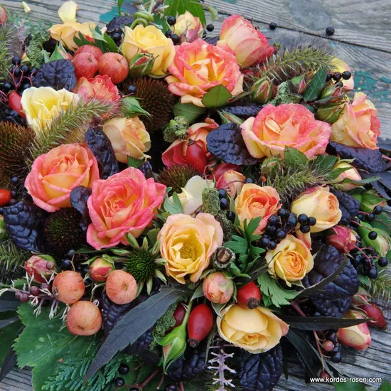 Růže Little Sunset